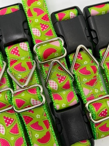 Summer Watermelon Collar