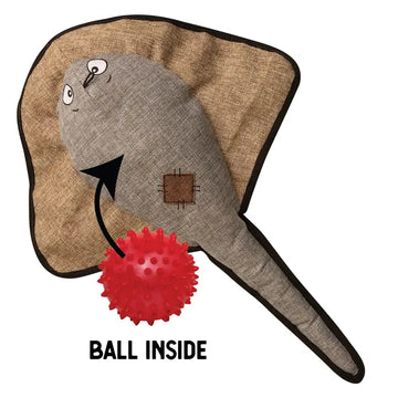 Sally the Stingray - 2 in 1 Toy