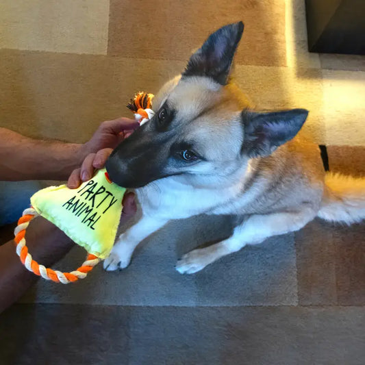 Party Animal Toy