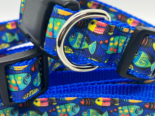Blue Fish Collection - Collars & Lead