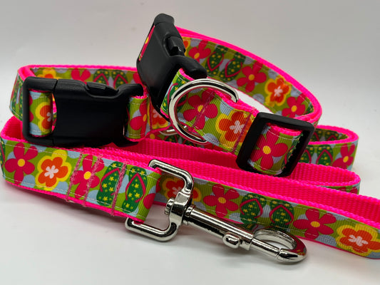 Aloha Collection - Collars & Lead