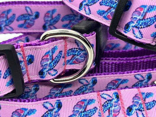 Pink Turtle Collection - Collars & Lead