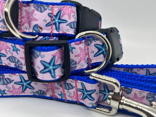 Under the Sea Collection - Collars & Lead