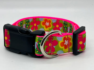 Aloha Collection - Collars & Lead