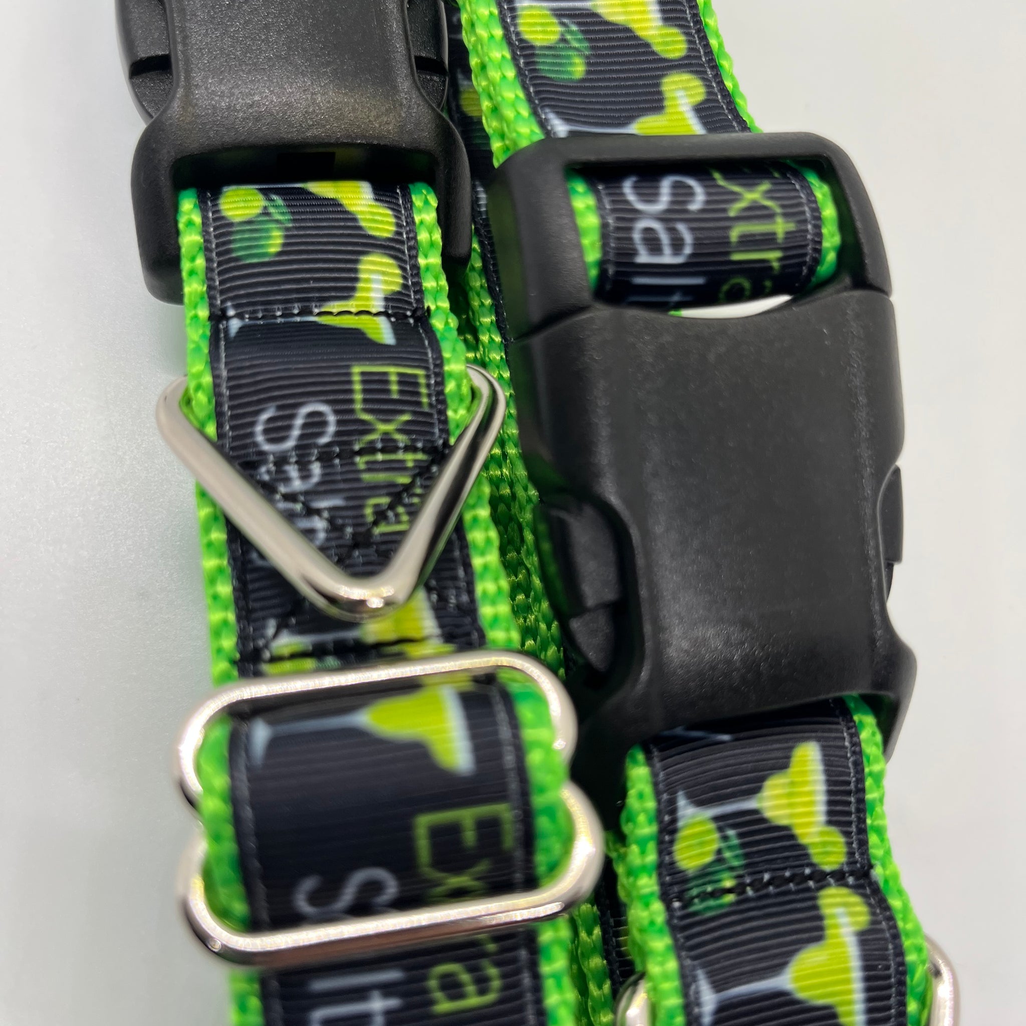 Extra Saltyt Dog Collar