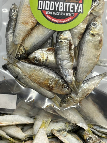 Florida Herring