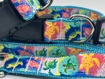 Funky Sea Turtle Collection - Collars & Lead