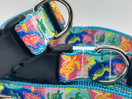 Funky Sea Turtle Collection - Collars & Lead