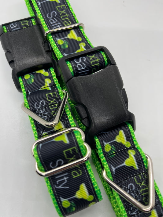 Extra Saltyt Dog Collar