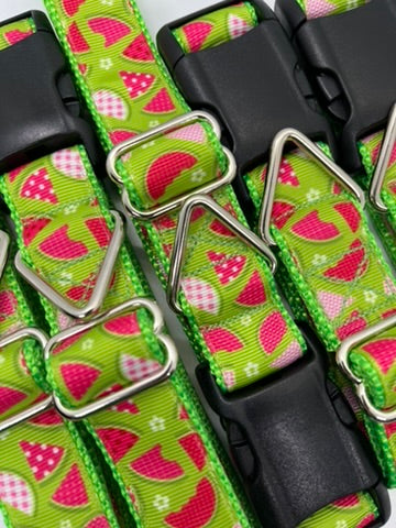 Summer Watermelon Collar