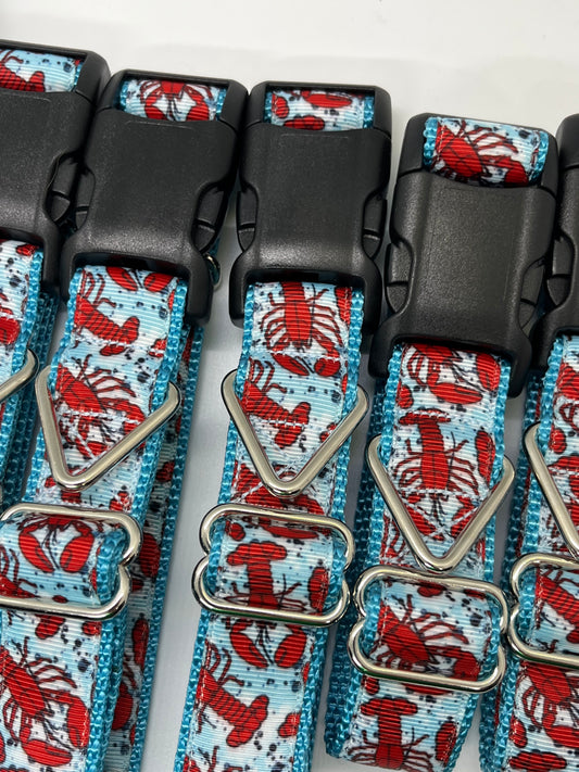 Rock Lobster Collar