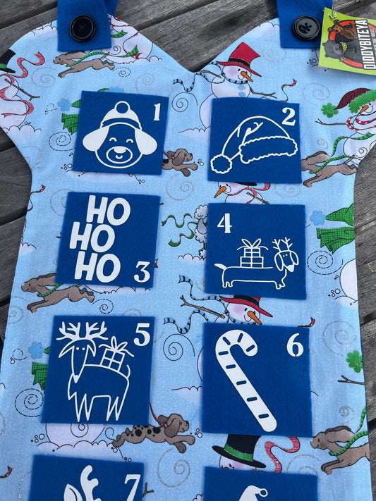 Fun in the Snow Calendar - 12 Days of Christmas
