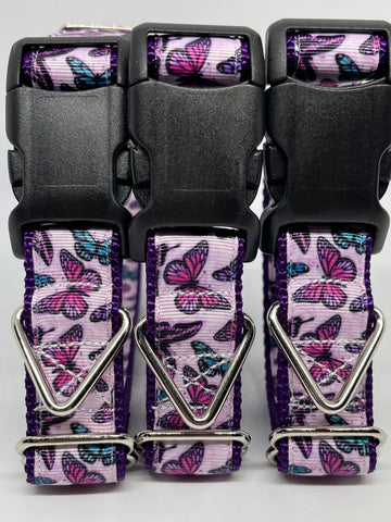 Butterflies Dog Collar
