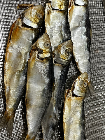 Large Wild-caught Mediterranean Herring
