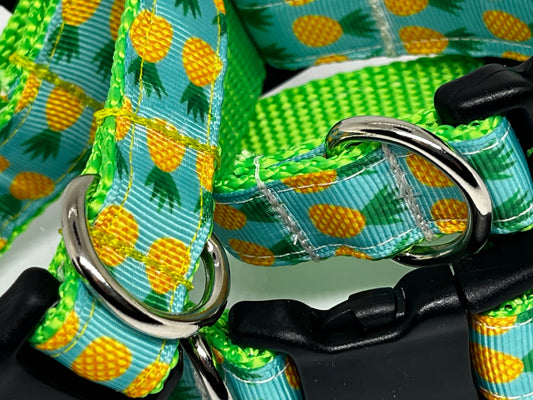 Pineapple Dog Collar
