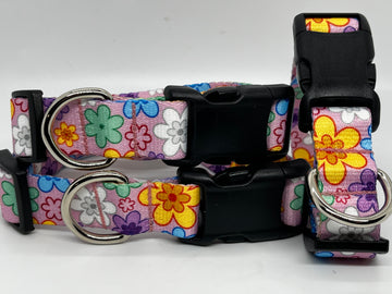 Flower Power Nylon Dog Collar