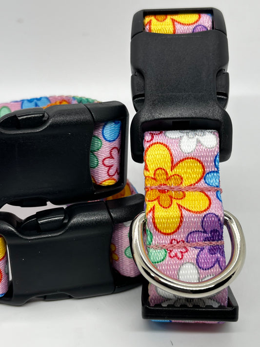 Flower Power Nylon Dog Collar