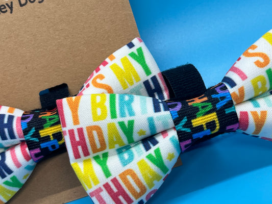 Mini Birthday Bow Tie🎂
