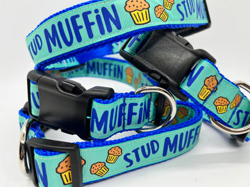 Stud Muffin Collection - Collars & Lead