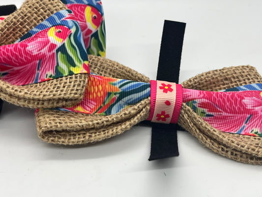 Colorful Fishy Bow Tie