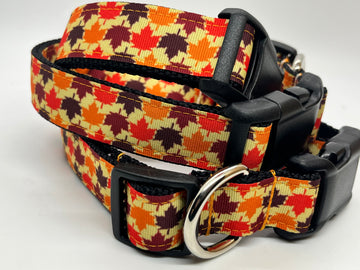 Fall Leaves - Collars & Lead