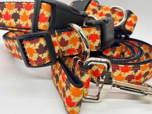 Fall Leaves - Collars & Lead