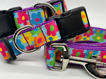 Flower Power Collection - Collars & Lead