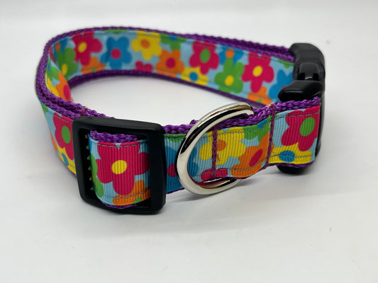 Flower Power Collection - Collars & Lead