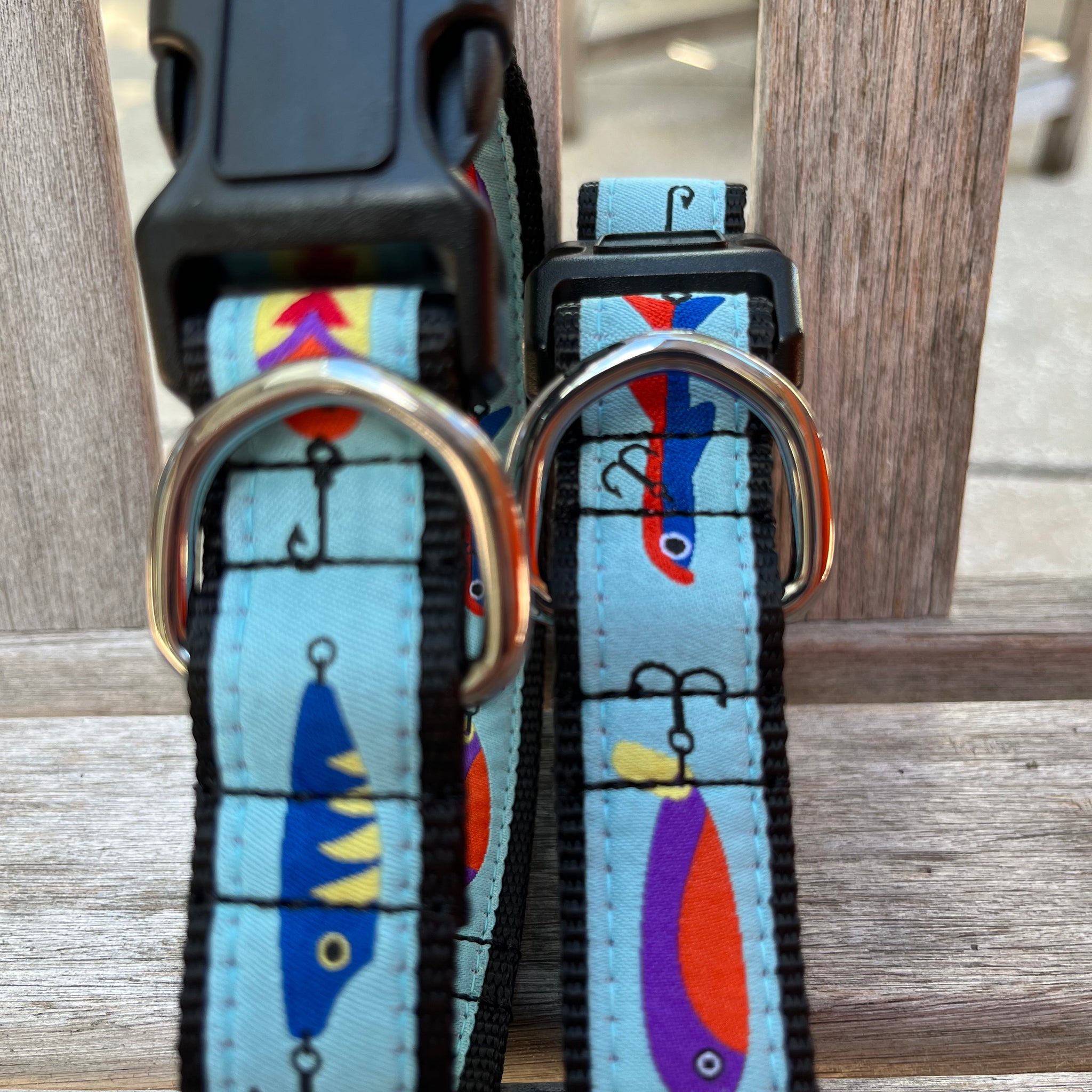 Lure Fishy Collar & Lead