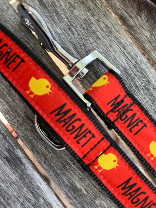 Chick Magnet Collar & Lead Copy