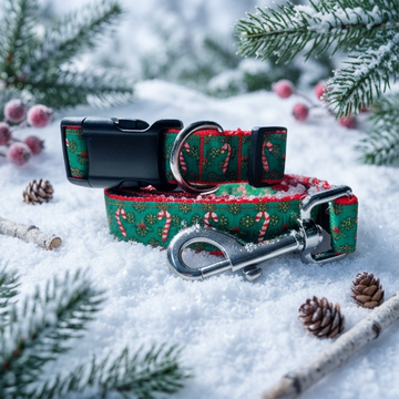 Candy Cane - Collars & Lead