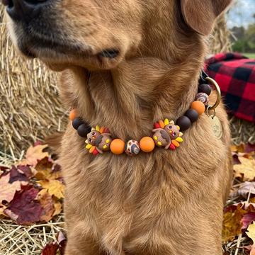 Tom Turkey 14" Necklace Bark Bling Collection