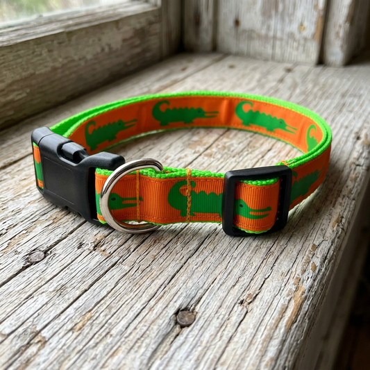 Orange Gator Collection - Collars & Lead