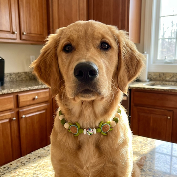 Turtle Ted 17" Necklace Bark Bling Collection