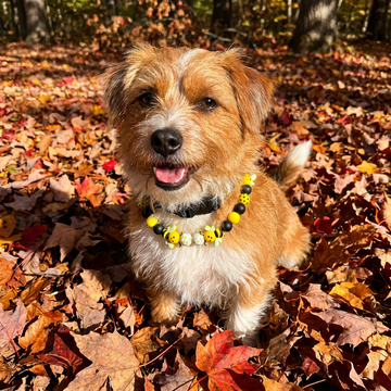 Buzzy Bee 21" Necklace Bark Bling Collection