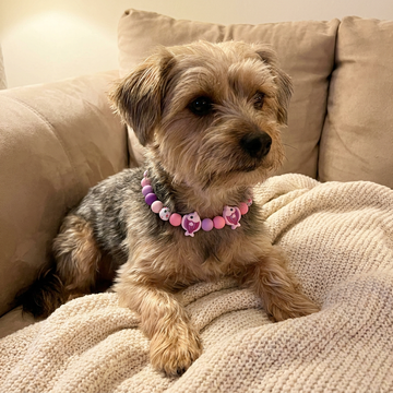 Pink Fish 16" Necklace  Bark Bling Collection