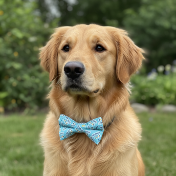 No Balls Still A Baller Bow Tie - BEST SELLER