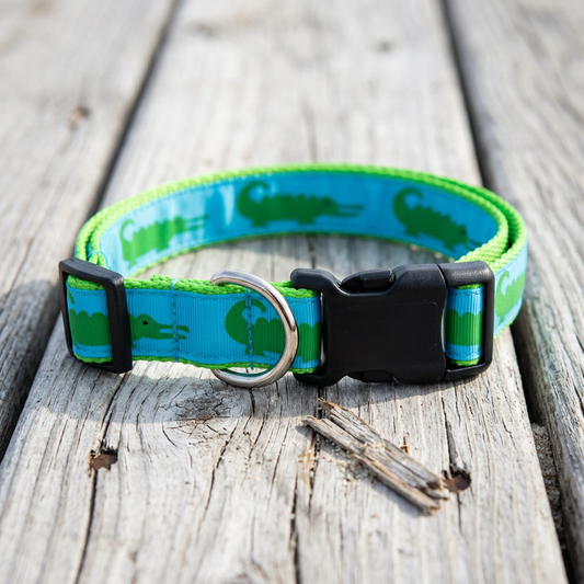 Blue Gator Collection - Collars & Lead