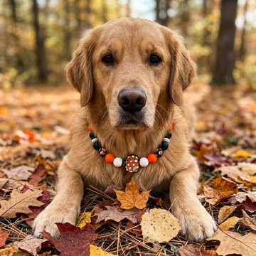 Fall Pumpkin 13" Necklace Bark Bling Collection
