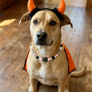 Batty for Halloween 21" Necklace Bark Bling Collection