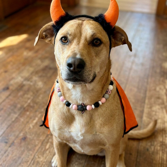 Batty for Halloween 21" Necklace Bark Bling Collection