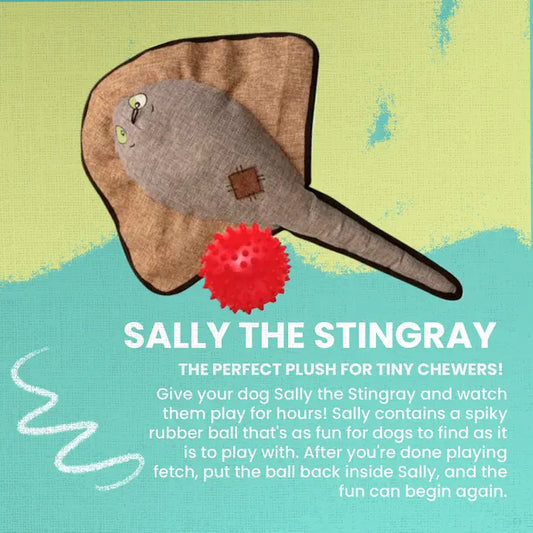 Sally the Stingray - 2 in 1 Toy