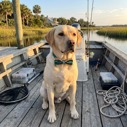 Preppy Gator Bow Tie